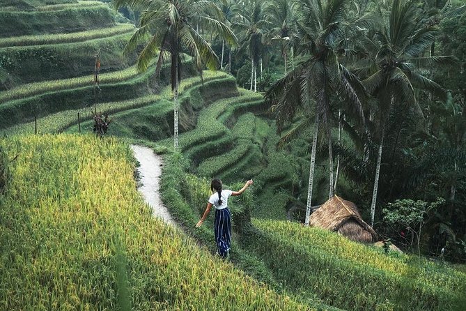 Bali Instagram Tour from Your Hotel (Private & Full-day) - Ubud Stops That Add Texture: Temples, Woodcarving, and Saraswati