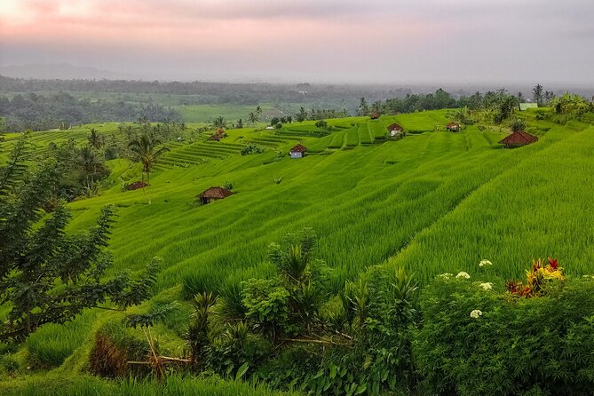 Bali Instagram Tour - Lempuyang Bali Gate of Heaven - Karangasem Rice Terraces: photos, then real breath
