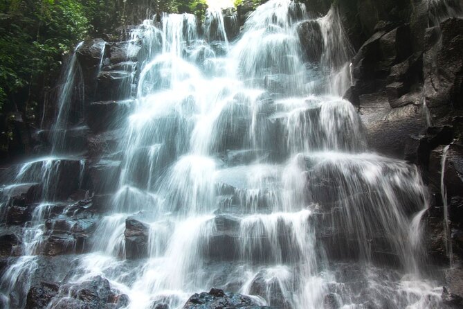 Bali Instagram Tour- Most Scenic Spots in Bali - Tunas Bali Luwak coffee and tea plantation stop