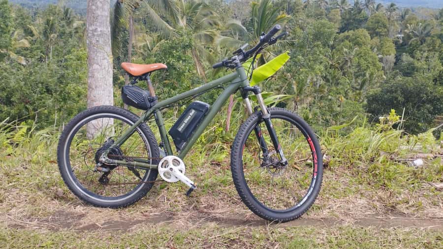 Bali: Jatiluwih Rice Terraces 1 Hour Electric Bike Tour - Why Jatiluwih’s UNESCO terraces are ideal for an hour e-bike ride