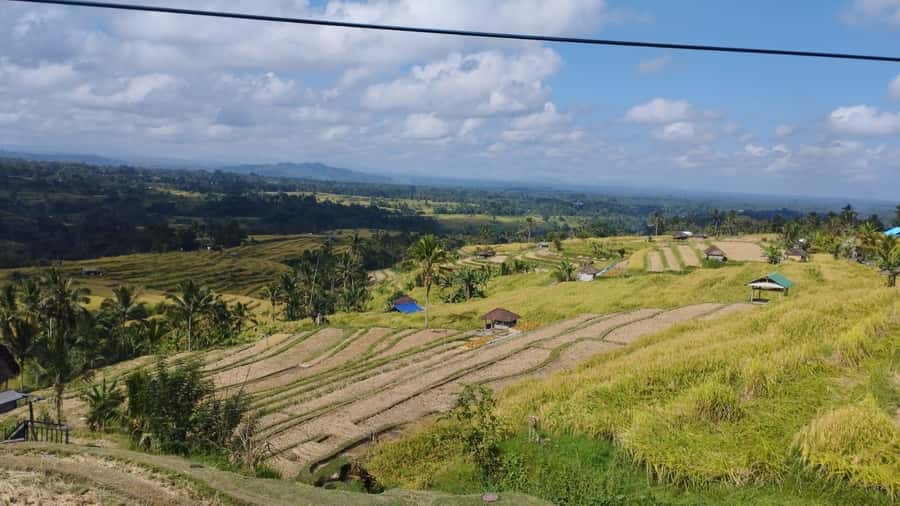 Bali: Jatiluwih Rice Terraces 1 Hour Electric Bike Tour - Who this tour suits best, and who should skip it
