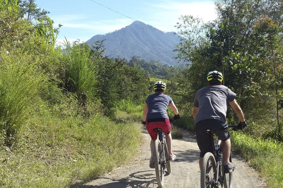 Bali: Jatiluwih Rice Terraces 1 Hour Electric Bike Tour - Giant bamboo forests and village edges between the terraces