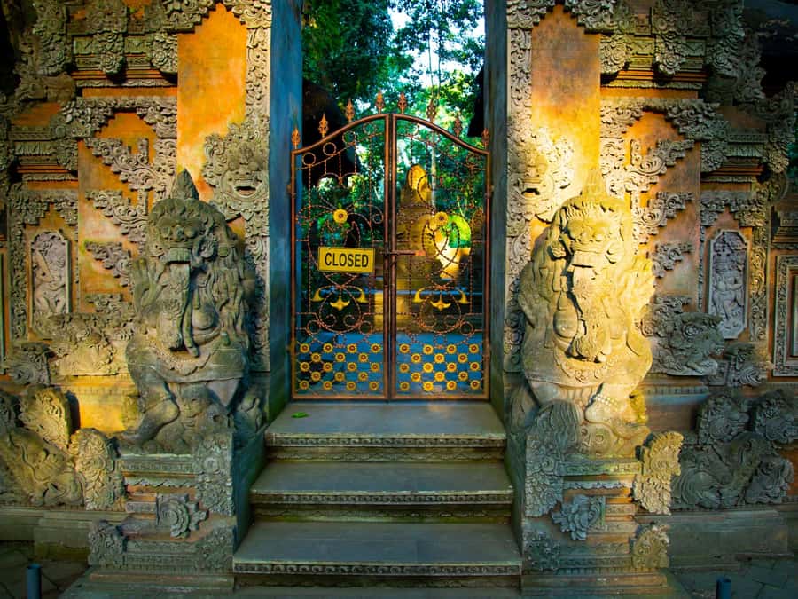 Bali: Jatiluwih Rice Terraces, Sangeh Forest & Coffee Tour - A slow-morning route through rice, monkeys, and coffee