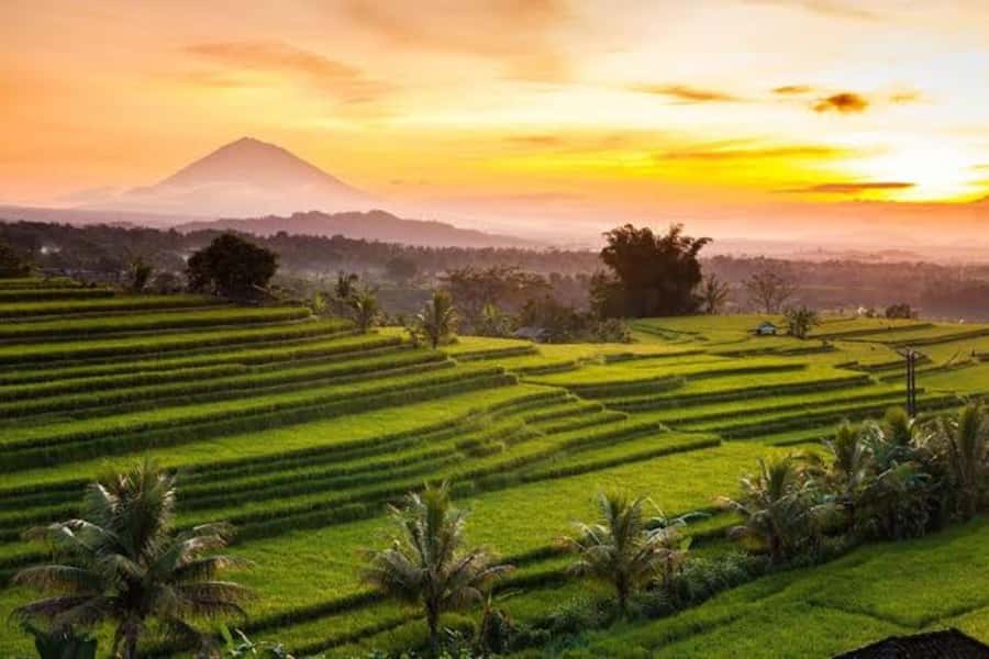 Bali: Jatiluwih UNESCO, Bratan Lake, Iconic Gate & Tanah Lot - Jatiluwih UNESCO Rice Terraces: Walking the UNESCO Water and Farming System