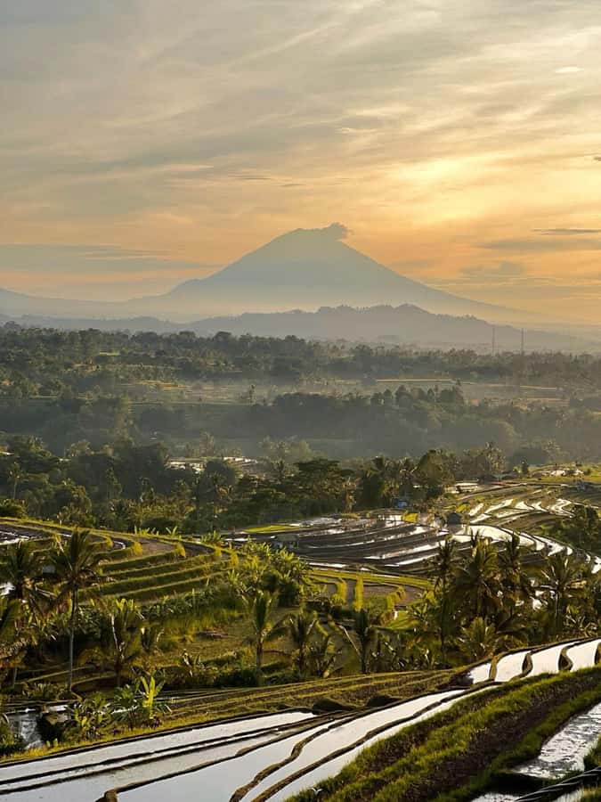 Bali: Jatiluwih UNESCO, Bratan Lake, Iconic Gate & Tanah Lot - Price and Logistics for Around $33: What You Really Get