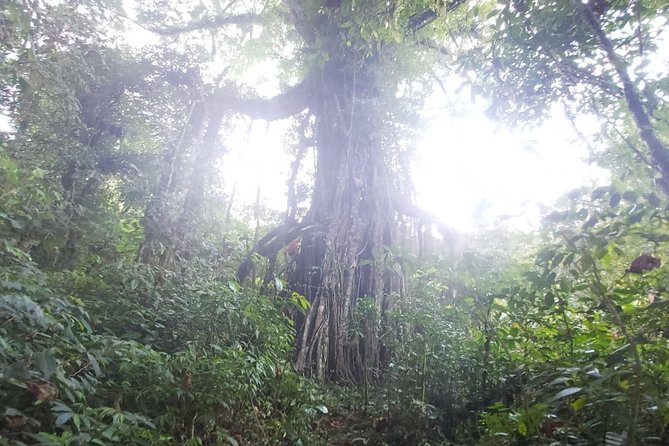 Bali Jungle Trekking and Lake Canoeing Tour - Optional Stops Depending on Where You’re Picked Up: Handara, Beratan, and Bedugul