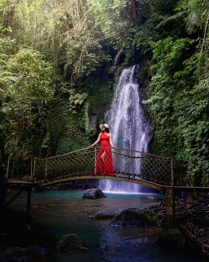 Bali: Kintamani Cafe, Waterfall, Temple and Cretya Ubud Tour - Tampaksiring coffee and herbal tea tasting: a small stop that makes the day feel local