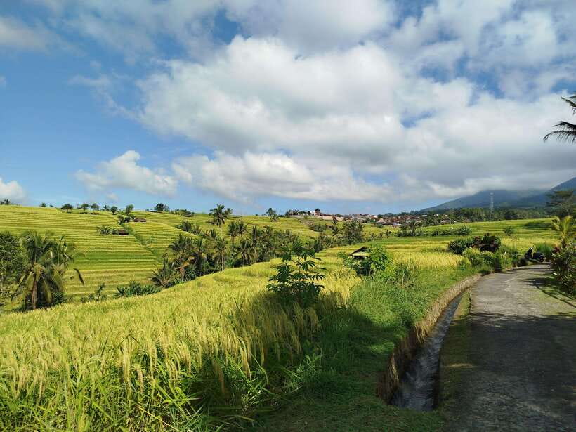 Bali: Lake Temple, Jatiluwih Rice Terrace & Waterfall Tour - Price and entry fees: what $32 covers, and what you should budget extra