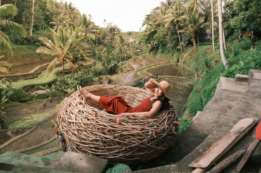 Bali: Leke-Leke Waterfall, Monkey Forest & Jungle Swing Tour - Should You Book This Bali Waterfall, Monkey Forest, and Jungle Swing Tour?