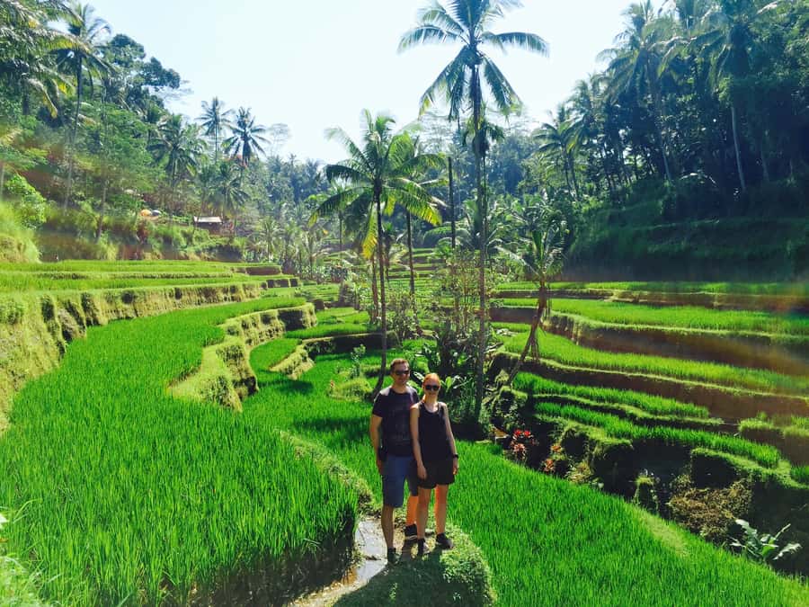 Bali: Leke-Leke Waterfall, Monkey Forest & Jungle Swing Tour - Ubud Sacred Monkey Forest Sanctuary: Temples and Real Wildlife Rules