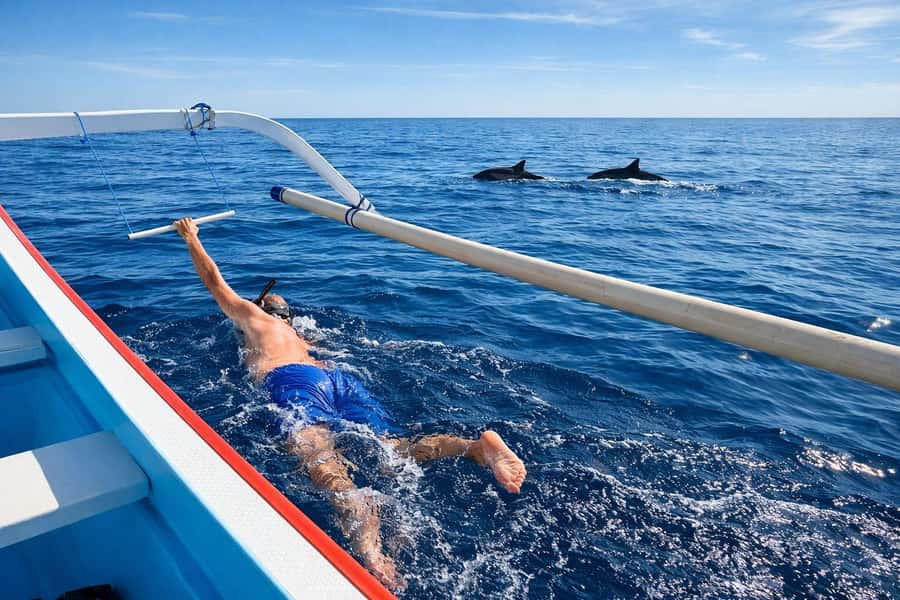 Bali/Lovina: Guided Dolphin Watching & Sunrise Boat Snorkel - Basecamp Coffee, Toilets, and the Gear Moment You Should Not Skip