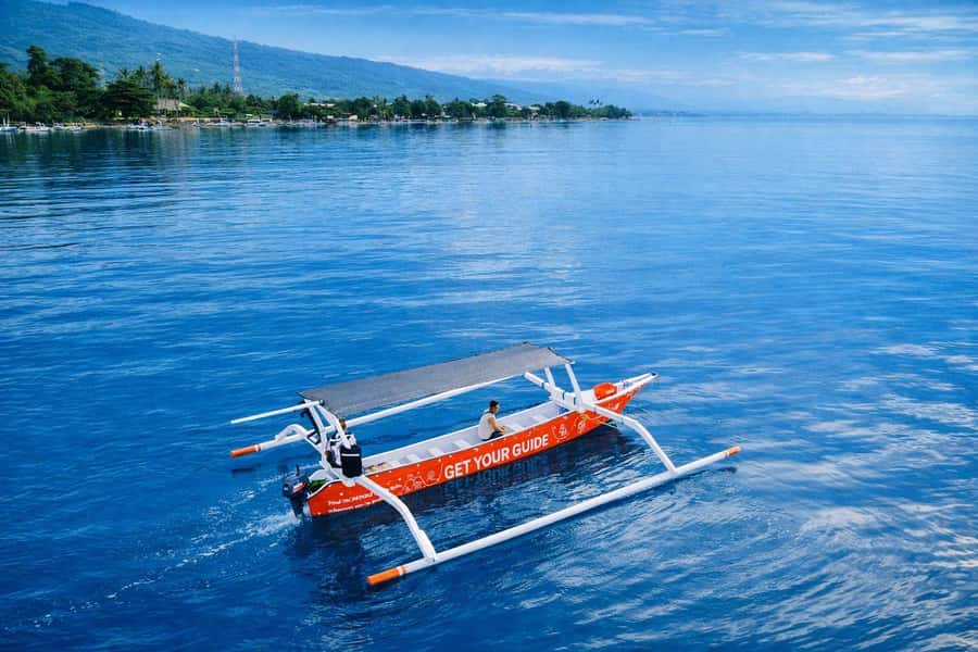 Bali/Lovina: Guided Dolphin Watching & Sunrise Boat Snorkel - Swimming Alongside Dolphins: The Float Method and the Animal-Respect Rules