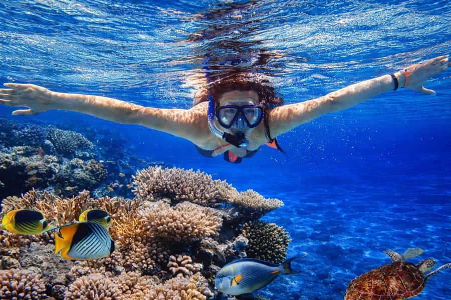 Bali/Lovina: Guided Dolphin Watching & Sunrise Boat Snorkel - Timing, Transfers, and Why Your Day Can Run Longer