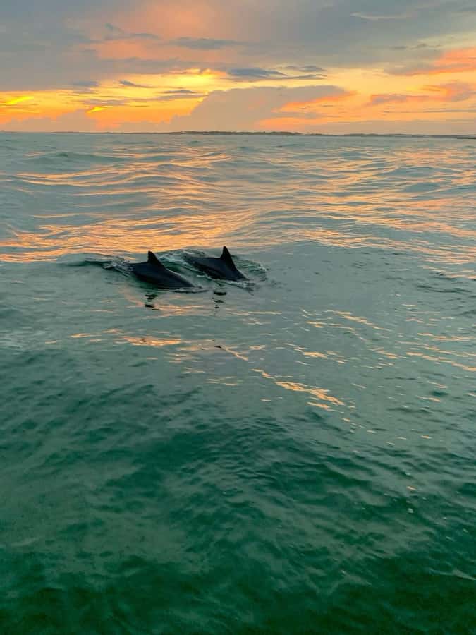 Bali: Lovina Sunset Tour with Snorkeling Experience - Snorkeling on coral reefs: what you get and what to watch for