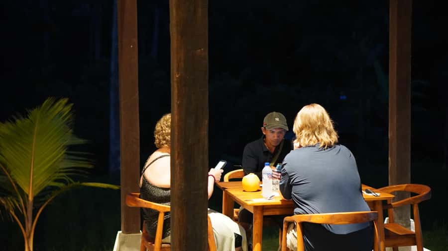 Bali: Magical Fireflies Tour in Taro Village with Dinner - Artisan Village and Traditional Houses: Seeing Daily Life Close Up