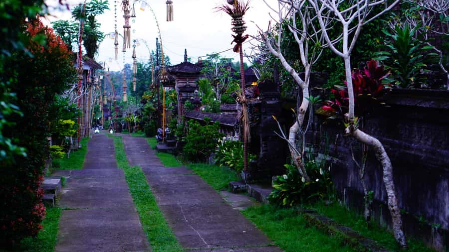 Bali: Magical Fireflies Tour in Taro Village with Dinner - Who This Tour Fits Best (And Who Should Skip It)