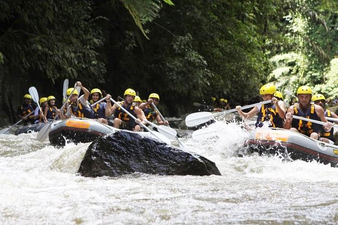 Bali Mason Adventure White Water Rafting - Equipment, safety, and what the best guides do differently