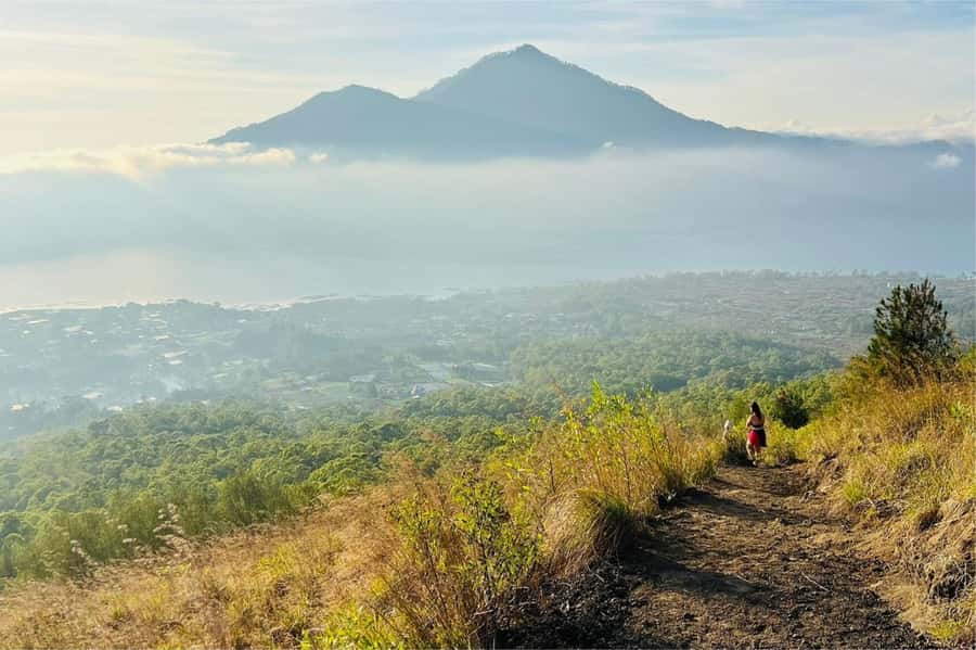 Bali: Mount Batur Sunrise Hike Including Transfer & All Cost - Coffee plantation stop on the return drive