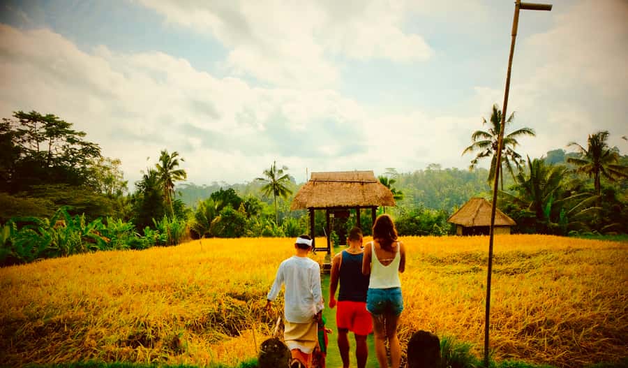 Bali: Mount Batur Sunrise Hike with Breakfast & Hot Spring - Summit Moment: Breakfast Cooked in Volcano Steam