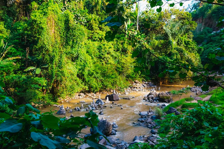 Bali: Mount Batur Sunrise Trek and White Water Rafting - Fitness Reality Check: Who This Day Works For