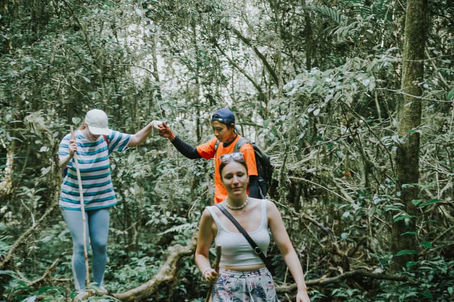 Bali: Munduk Waterfalls Trek, Twin Lakes and Temple Tour - Key highlights worth marking on your mental map