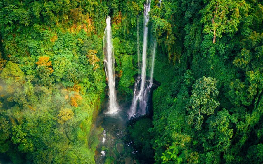 Bali: North Highlights Private Full-Day Customized Tour - North Bali in one day: what makes the experience work