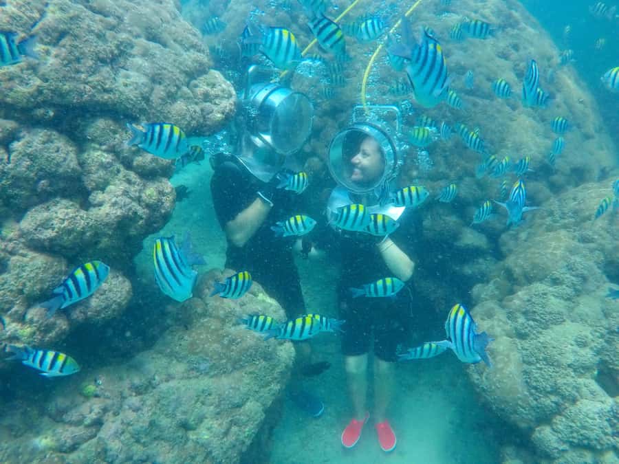 Bali: Nusa Dua Underwater Sea Walking Experience - Key Things That Make Nusa Dua Sea Walking Different