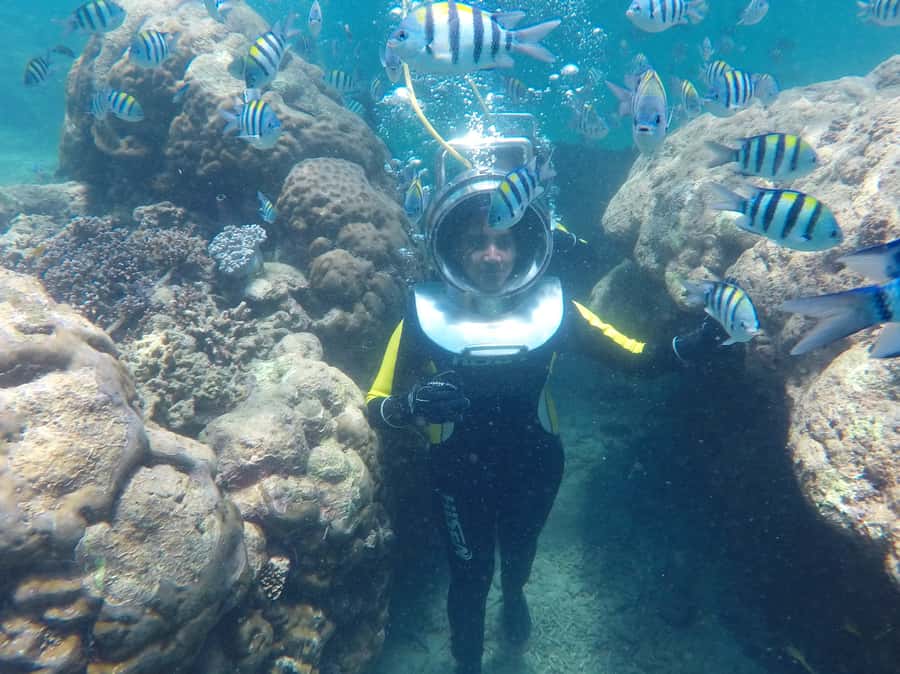Bali: Nusa Dua Underwater Sea Walking Experience - Who Should Book It, and Who Should Skip This Helmet Walk