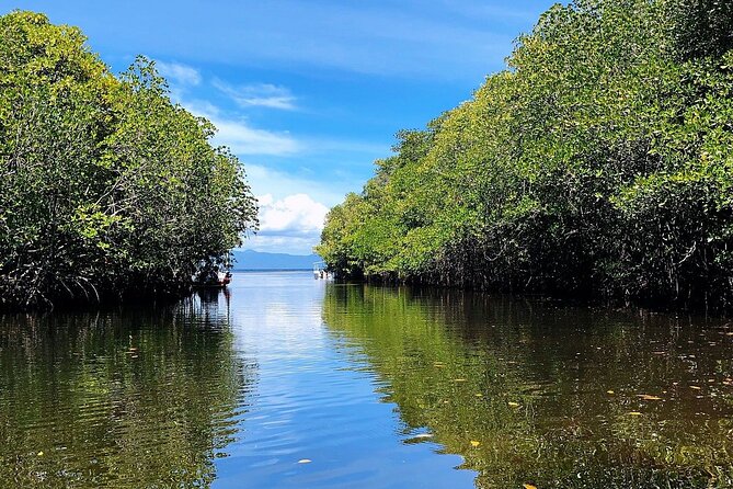 Bali Nusa Lembongan Islands Private Tour - All Inclusive - Why Nusa Lembongan feels like Bali’s escape without the extra nights