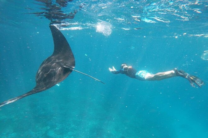Bali Nusa Penida and Private Snorkeling (Manta Bay, Gamat, Wall) - Key Things That Make This Nusa Penida Tour Worth Your Morning