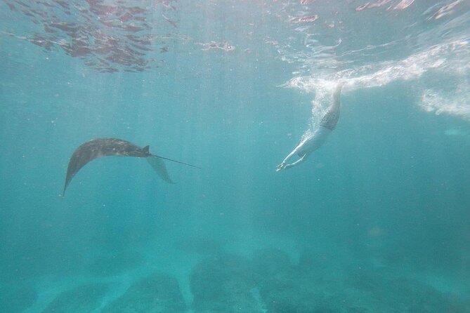 Bali Nusa Penida and Private Snorkeling (Manta Bay, Gamat, Wall) - From Kuta to Sanur, then Straight Into Nusa Penida Mode