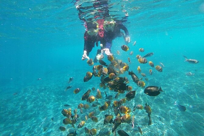 Bali Nusa Penida and Private Snorkeling (Manta Bay, Gamat, Wall) - Food, water, and keeping the day from turning into a marathon