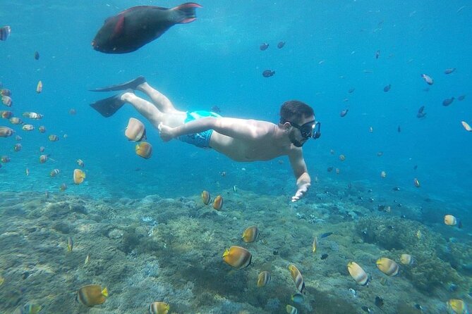 Bali Nusa Penida and Private Snorkeling (Manta Bay, Gamat, Wall) - Price and value: why $145 can make sense here