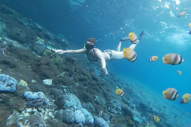 Bali Nusa Penida and Private Snorkeling (Manta Bay, Gamat, Wall) - Weather, jellyfish, and rough water: what can change your day