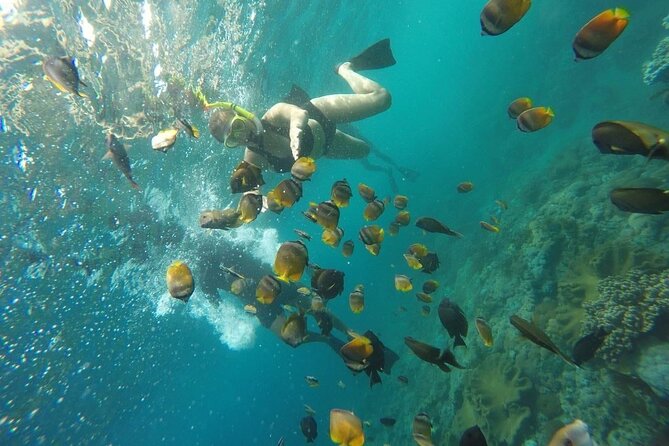 Bali Nusa Penida and Private Snorkeling (Manta Bay, Gamat, Wall) - Who This Tour Suits Best, and Who Might Prefer Something Else