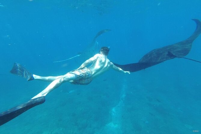 Bali Nusa Penida and Private Snorkeling (Manta Bay, Gamat, Wall) - Snorkeling in Nusa Penida, built around three real bays