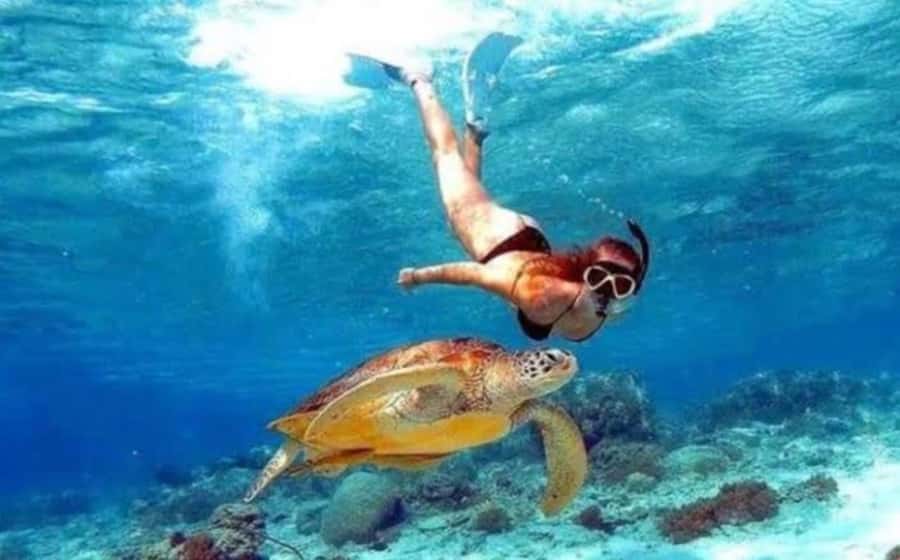 Bali: Nusa Penida Full-Day Trip with Snorkeling - Why this Nusa Penida day trip feels like two trips in one