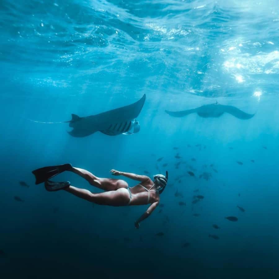 Bali: Nusa Penida Full-Day Trip with Snorkeling - Snorkeling around Penida: how the 3-stop plan works