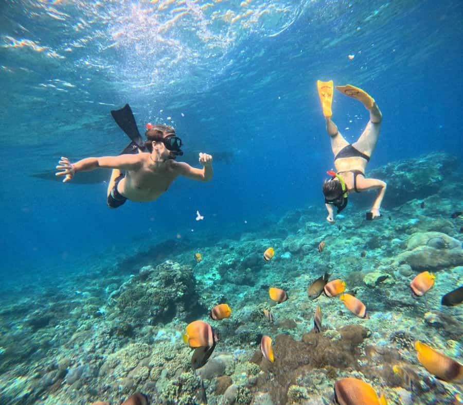 Bali: Nusa Penida Full-Day Trip with Snorkeling - The lunch break: plan for it even if it’s not included
