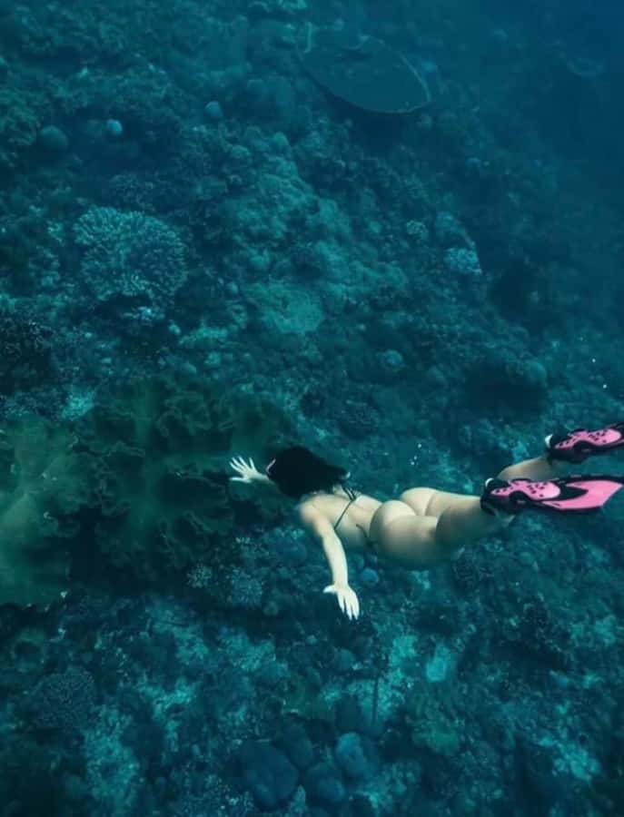 Bali: Nusa Penida Full-Day Trip with Snorkeling - Kelingking Beach: the cliff viewpoint that drives the whole day