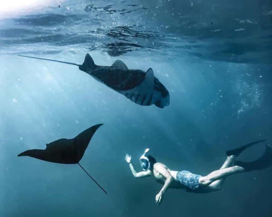 Bali: Nusa Penida Full-Day Trip with Snorkeling - Pasih Uug and the Penida coast: quick stops that add variety