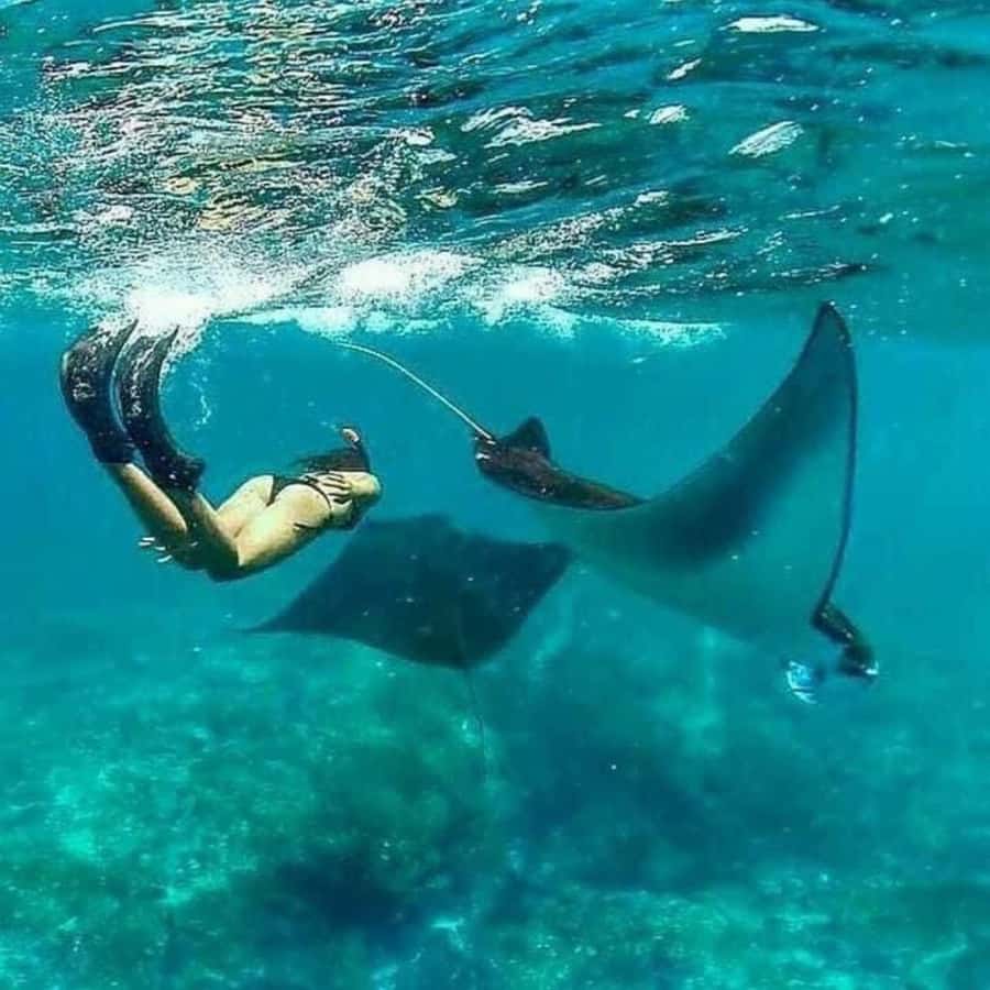 Bali: Nusa Penida Full-Day Trip with Snorkeling - Getting to Nusa Penida: Sanur Harbor, speedboat time, and seasickness reality