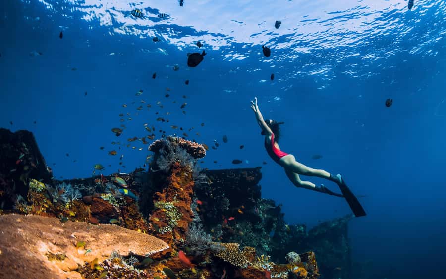 Bali/Nusa Penida: Manta Point Snorkel Boat & West Coast Tour - Getting There from Bali: Early Pickup and the Public Fast Boat