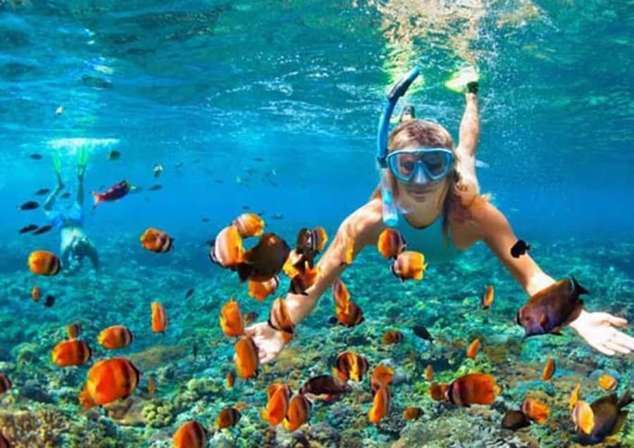 Bali/Nusa Penida: Manta Point Snorkel Boat & West Coast Tour - The Penida Break: Lunch Time and Free Time You Can Use