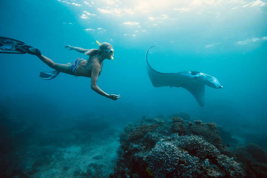 Bali/Nusa Penida: Manta Point Snorkel Boat & West Coast Tour - Price and Logistics: What $29 Really Buys You
