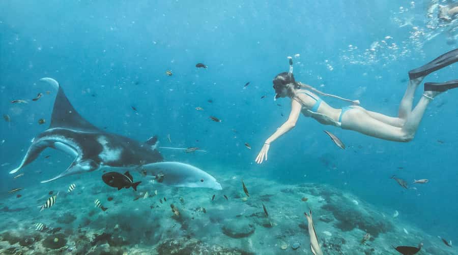 Bali/Nusa Penida: Manta Point Snorkeling & West Coast Tour - West Coast option: cliffs, beaches, and a full afternoon of viewpoints