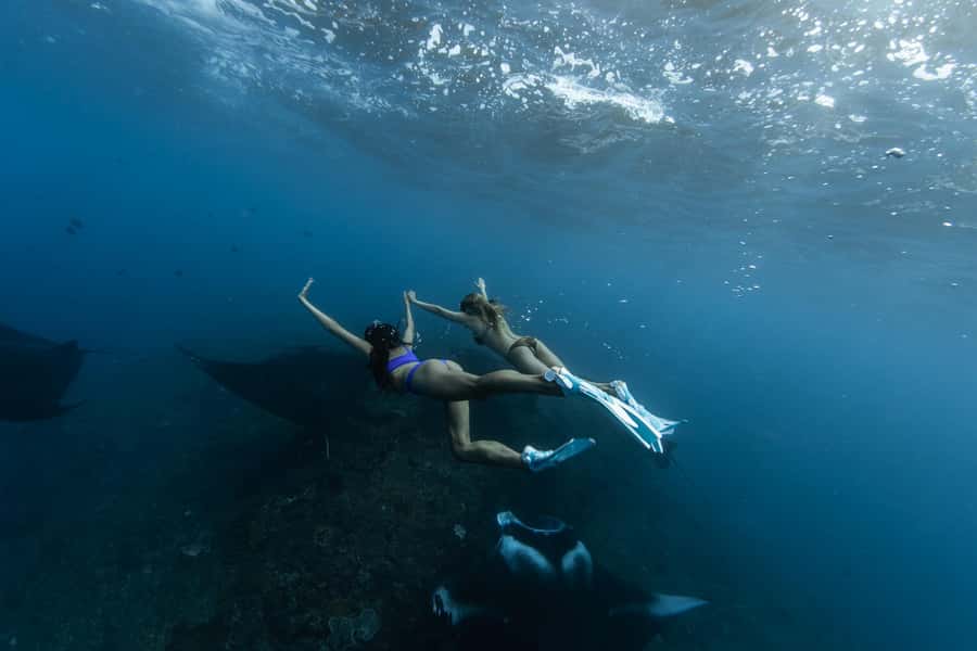 Bali: Nusa Penida Speedboat Trip with Snorkeling and Tour - Key highlights to know before you go
