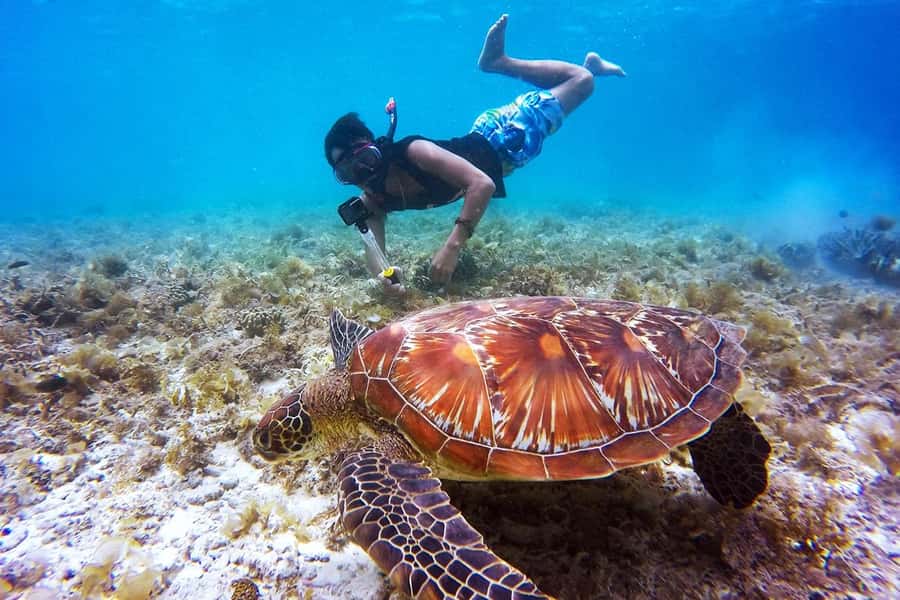 Bali: Nusa Penida Speedboat Trip with Snorkeling and Tour - Speedboat energy from Serangan to Nusa Penida