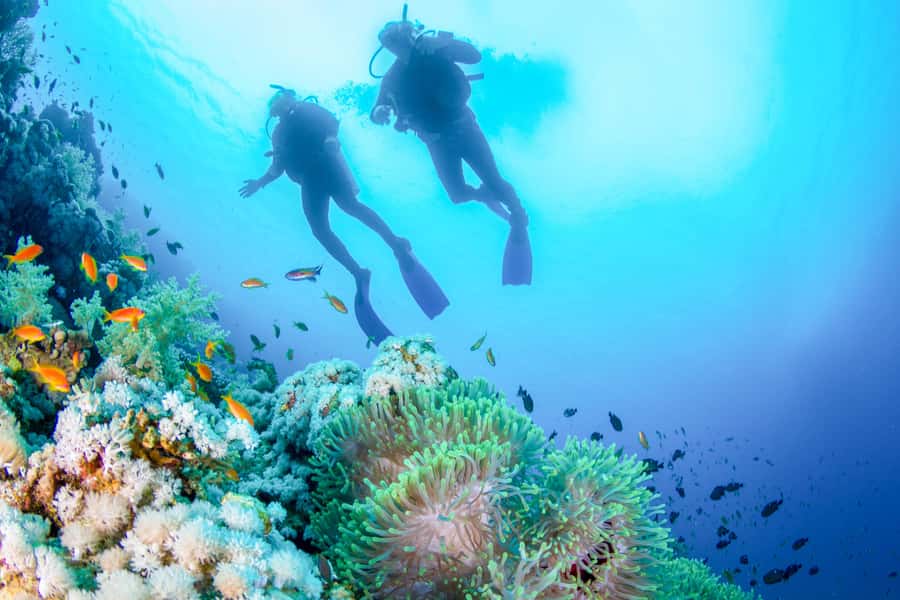Bali: Padangbai Blue Lagoon Beginner's Dive Experience - Padangbai Blue Lagoon: Why This Beginner Setup Works