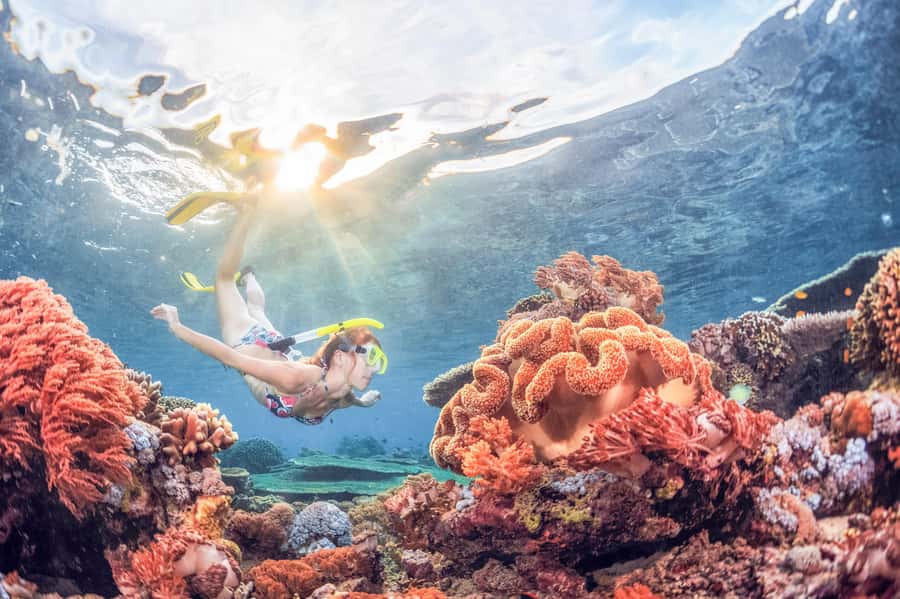 Bali: Padangbai Blue Lagoon Snorkeling Day Trip - Padangbai Blue Lagoon: why this day trip is a good fit for real snorkel time